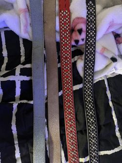B.B Simon Belts