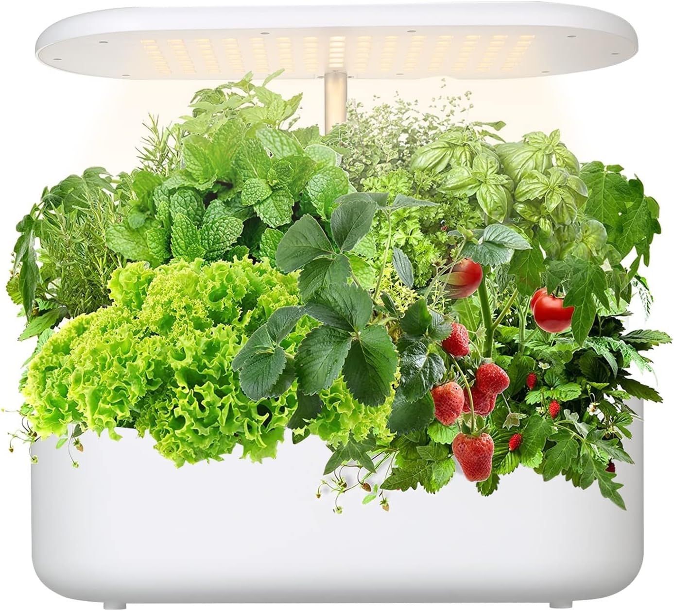Plant Growing Machine