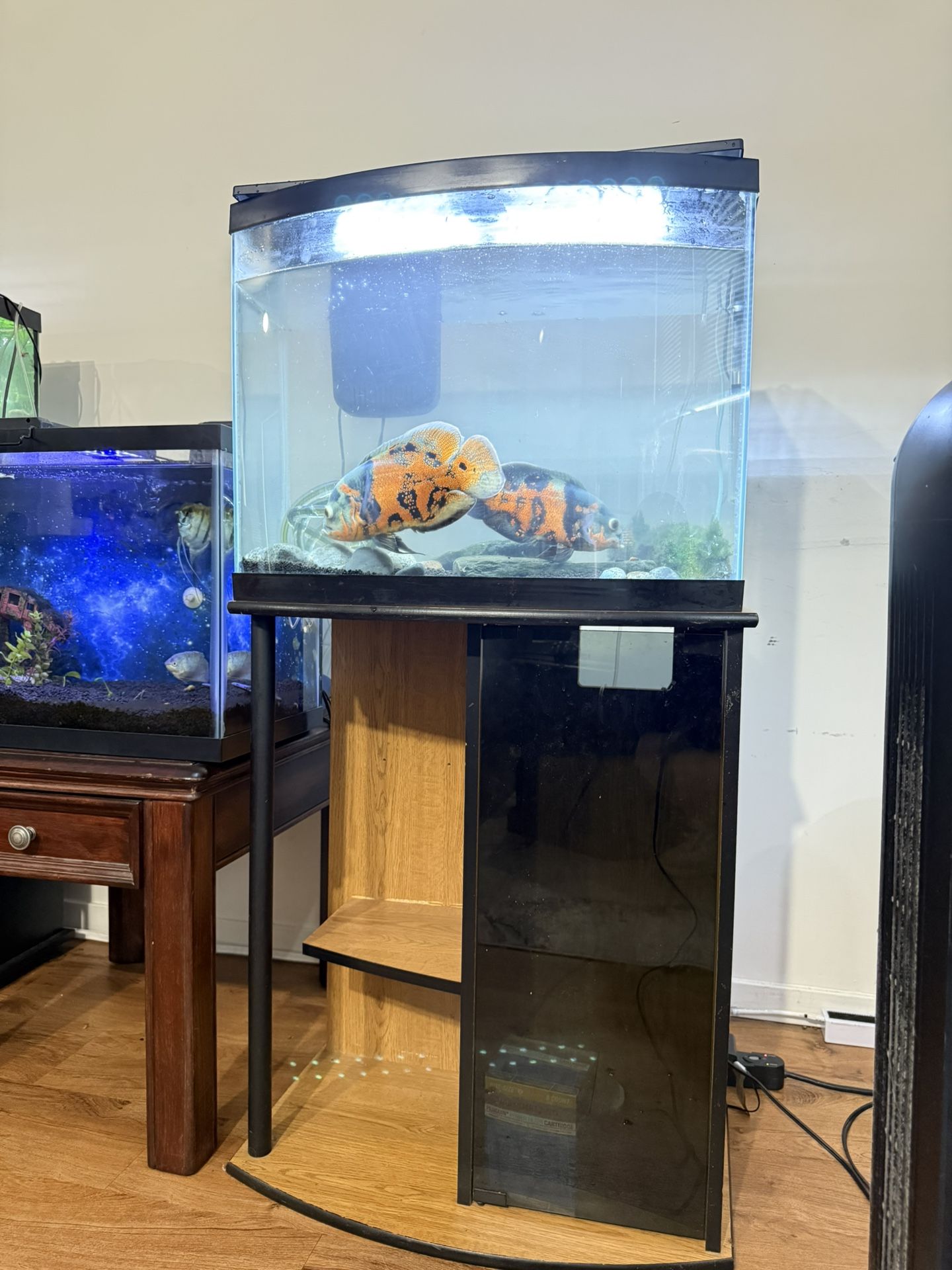 30 Gallon Bowfront Aquarium Full Setup - Stand, Filter, Heater, Pump & Fish
