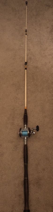 Boat Fishing Rod