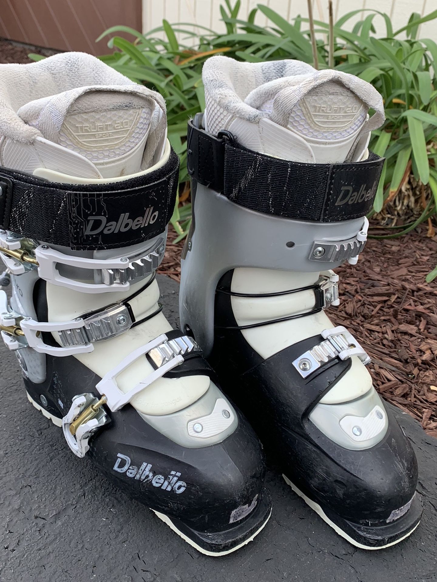 Dabello Ski Boots