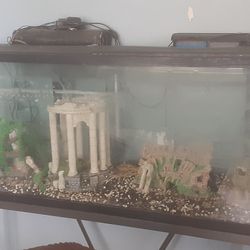 55 Gal Tank W/stand/accessories 