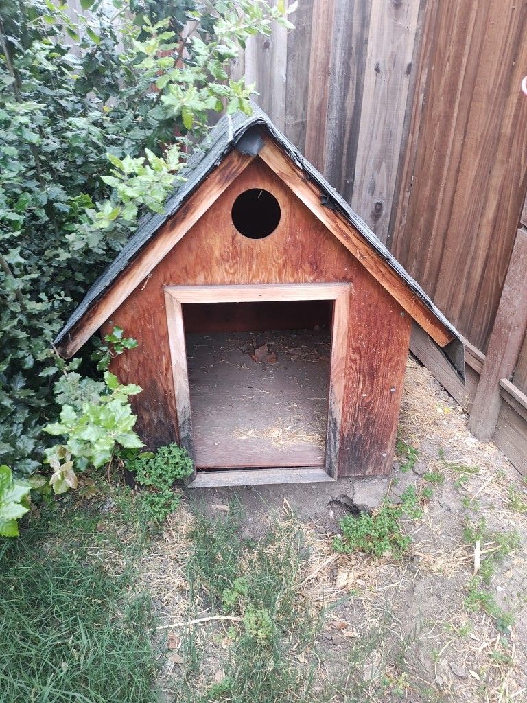 Large Dog House