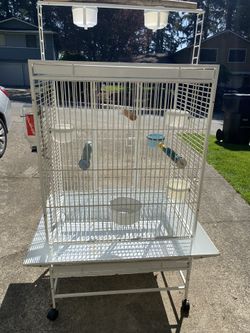 Parrot cages clearance for sale gumtree