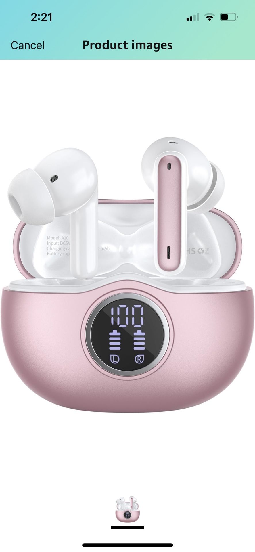 Earbuds