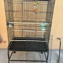 Bird Cage 