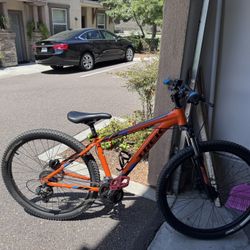 Trek Mountain Bike 