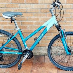 Trek 3900 WSD Mountain Bicycle