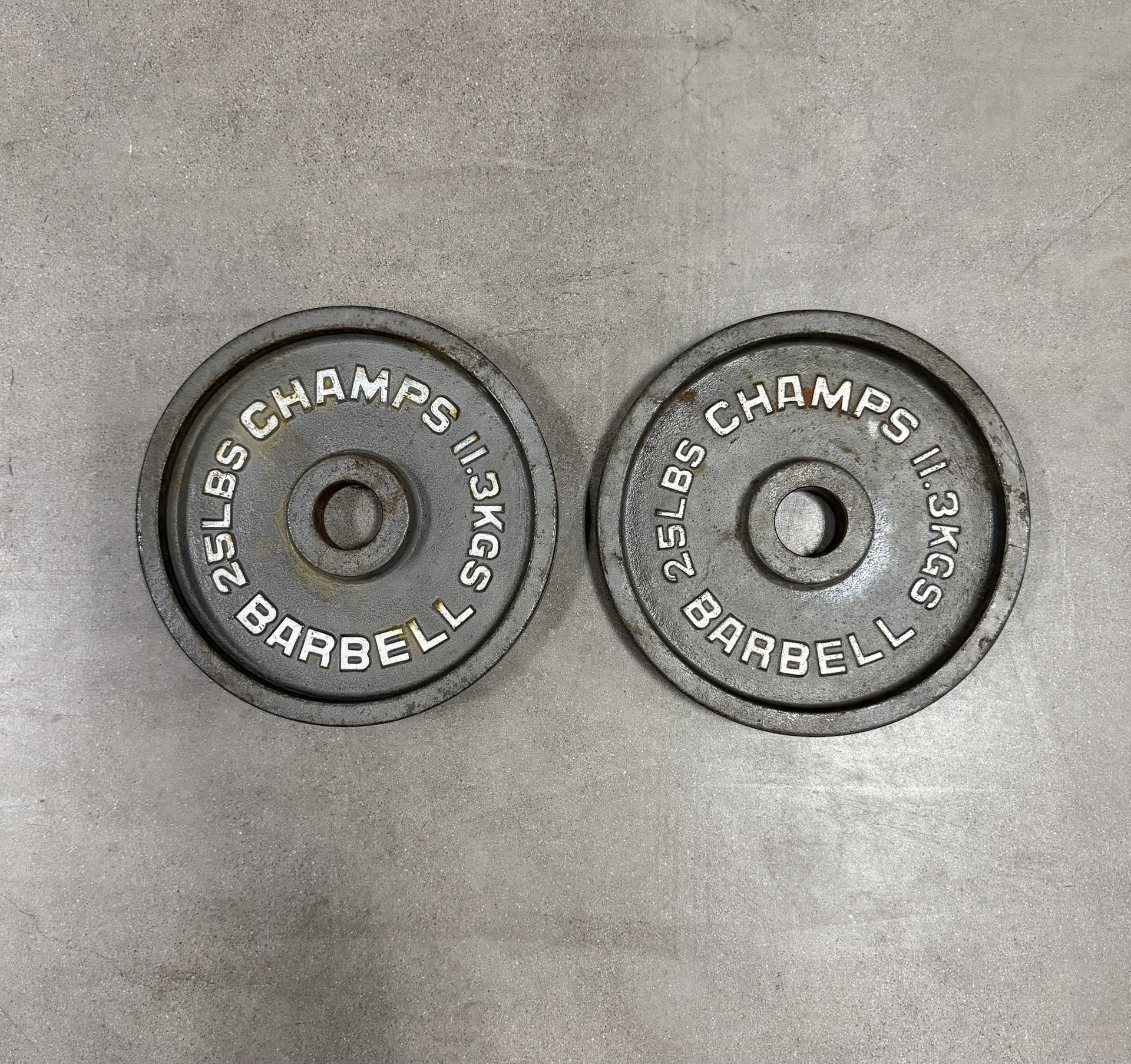 25lb Weight Plates
