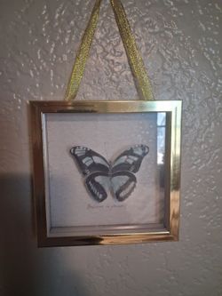 Set of 3 small butterfly glass feamed pix