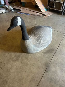 Goose hunting decoys