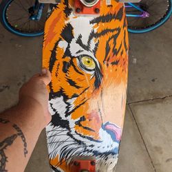 Kryptonics Skateboard 