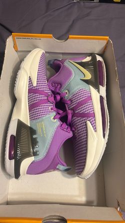 Lebron witness VII