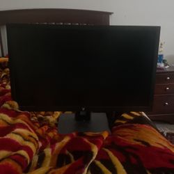 25 inch Monitor