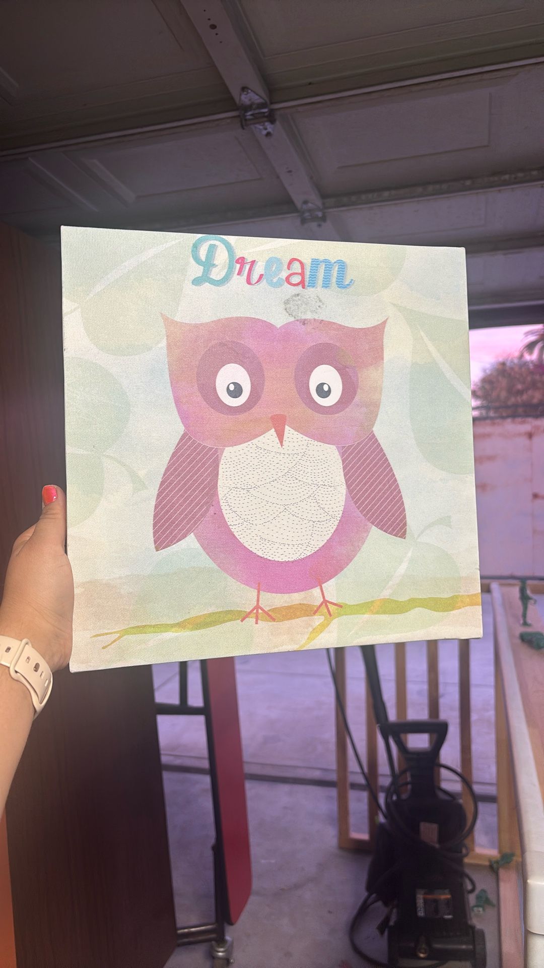 Dream Owl Canvas