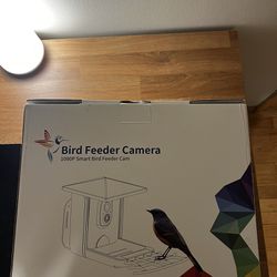 Camera bird feeder