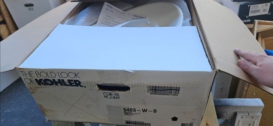 Kohler Iron Plains Wading Pool Oval Sink 