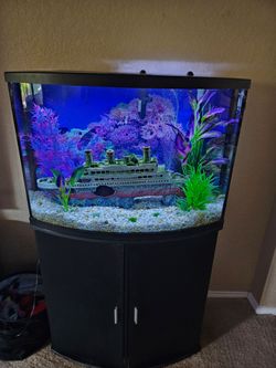 Full aquarium setup