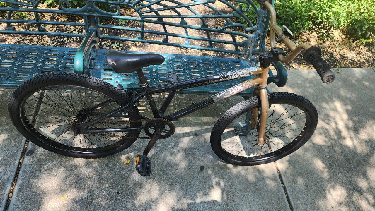 24 Inch DiamondBack Session BMX Cruiser.