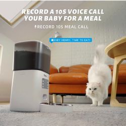 New in box Automatic Cat Feeders, 6L Timed Cat Dog Feeder Pet Dry Food Dispenser with Clog-Free Design, Programmable Portion Control 1-6 Meals Per Day