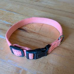 Small Pet Collar - Color: Neon Pink