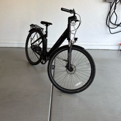 E Bike CGO800S