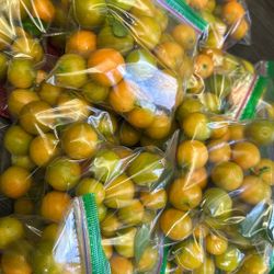 One Pound Bag Of Philippine Lemon Or Calamansi