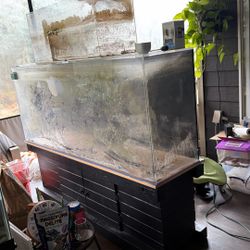 Large Fish Tank