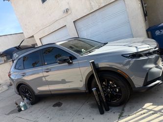 Polarized for all types of vehicles