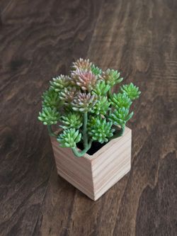 Artificial succulent plant mini