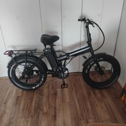 Electric Bike 