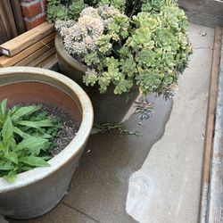 Outdoor Flower Pots 2 Left!!