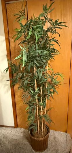 Faux/Fake bamboo tree.