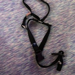 Pet Safe Gentle Leader Medium 