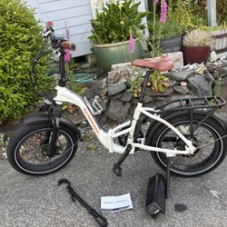 Rad Mini Step Through E-bike