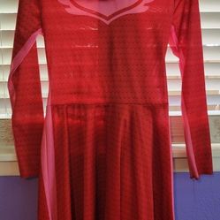 Owlet Womens Costume