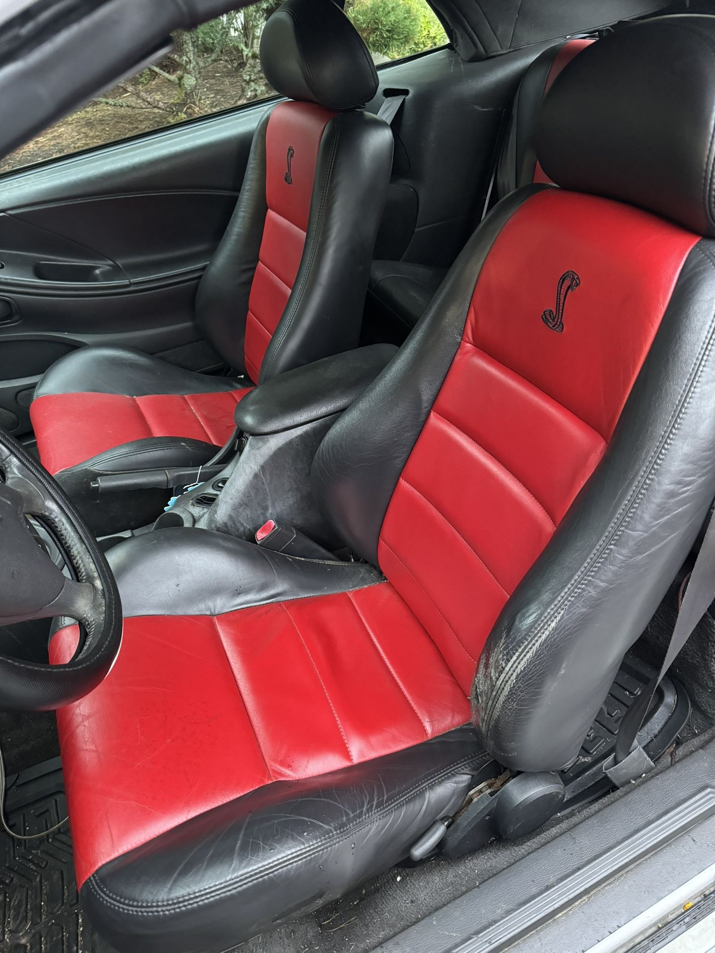 2003-2004 Mustang Cobra Seats