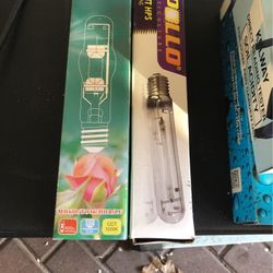 Grow Bulbs