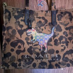 Coach Signature Rainbow Rexy Tote 42