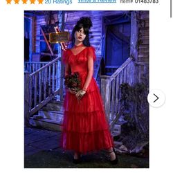 Halloween Costume 