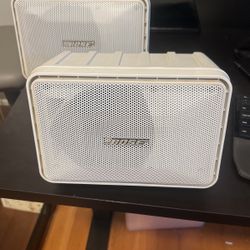 Bose 101 Speakers