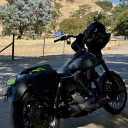 2007 Harley Davidson Street Bob