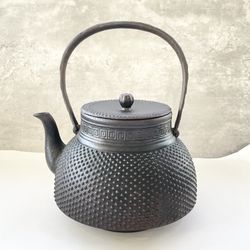 Vintage Japanese Handmade Cast Iron Tea Kettle Pot Extra Large