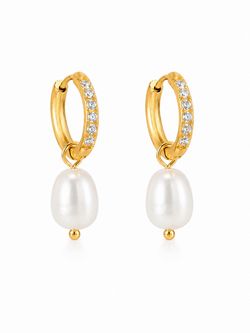 Stainless Steel Hoop Earrings