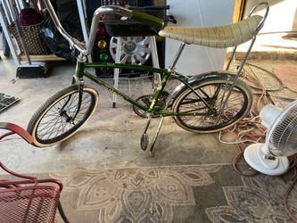 Schwinn fast back