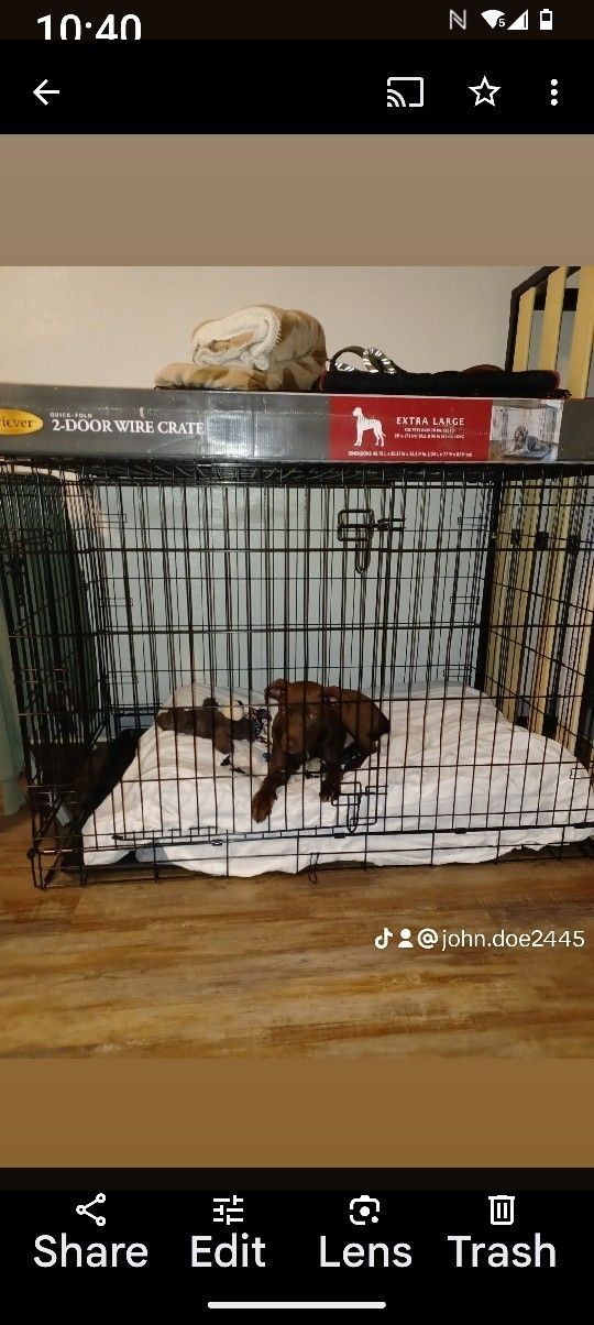 Dog Cage