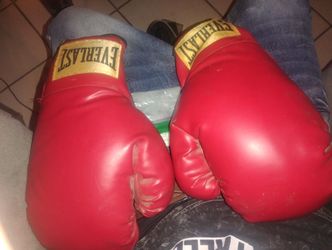 6oz Everlast Gloves