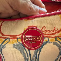 Coach Bag 