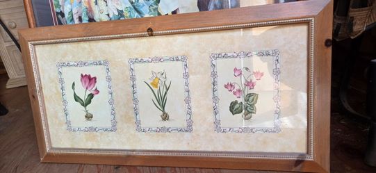 Framed Botanical Floral Triptych Print