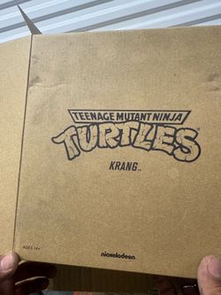 Turtles